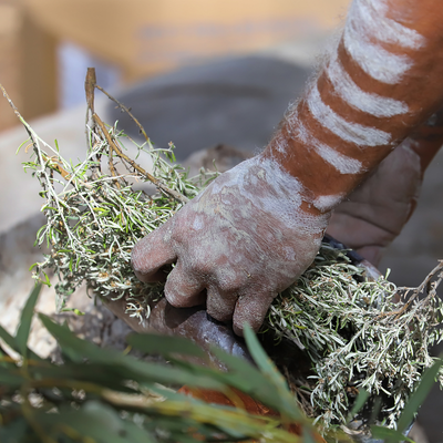 Indigenous cultural awareness foundations 1.0